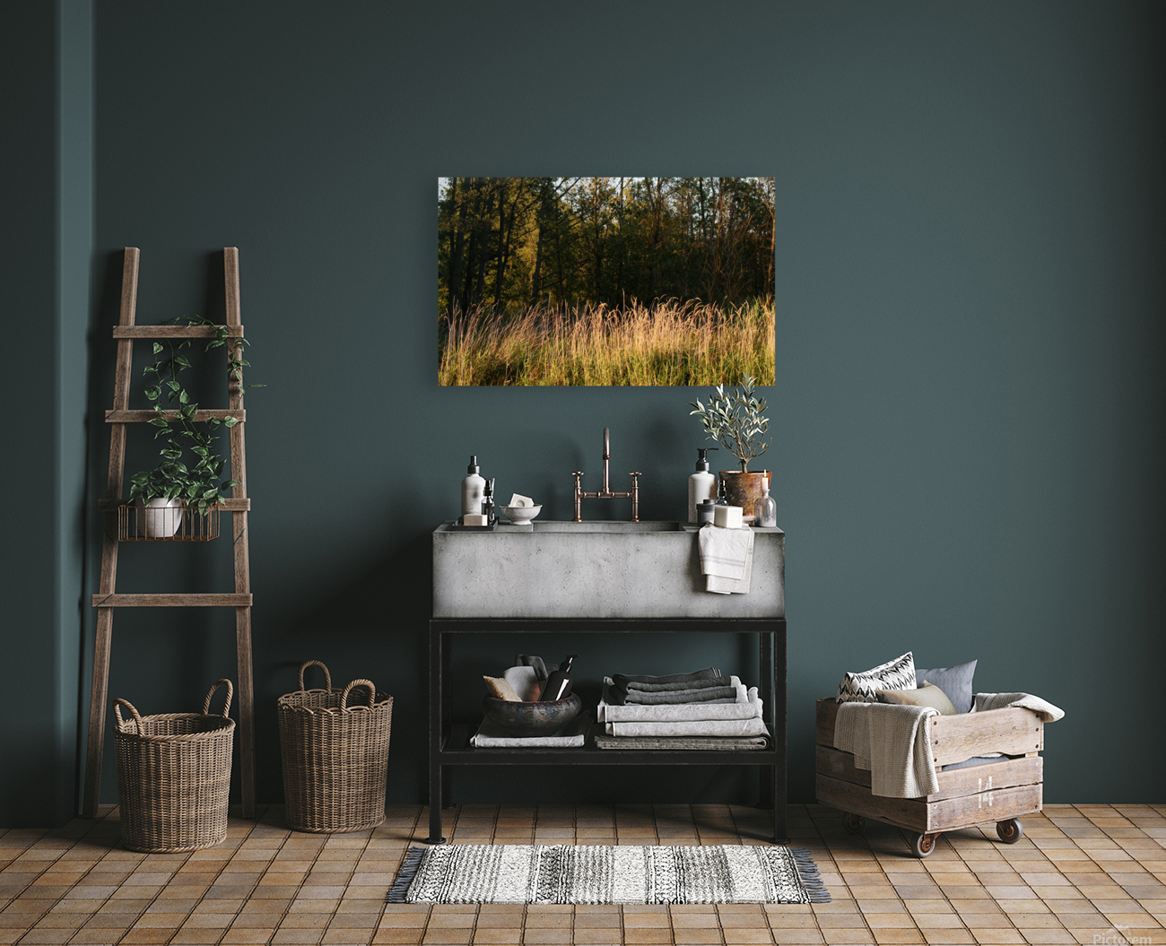 Grasses in evening light  Reproduction