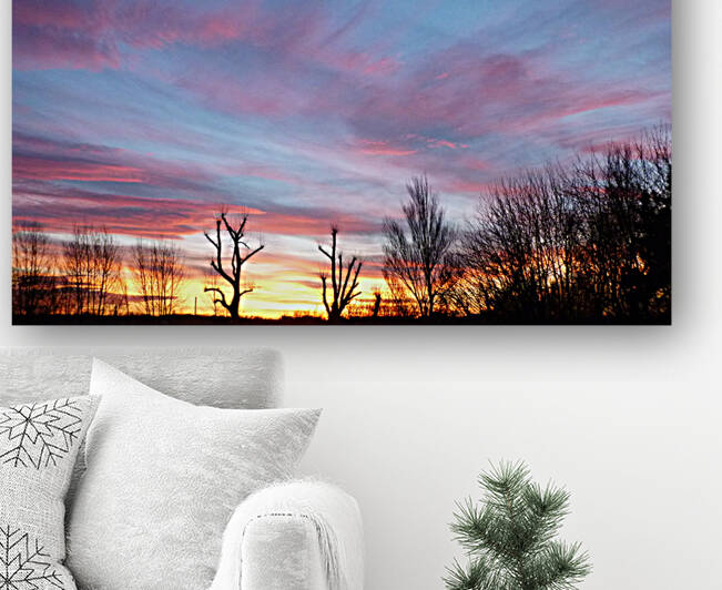 Pink sunset Reproduction