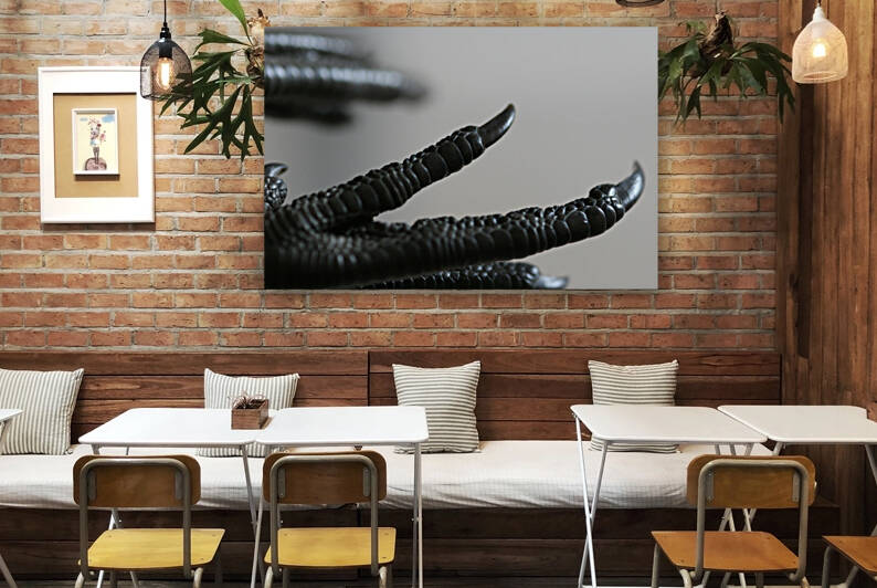 Birds foot  Reproduction