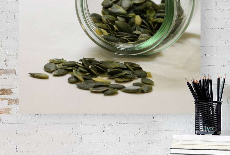 Sunflower seeds  Reproduction