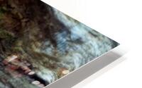 Looking through wood  HD Metal print
