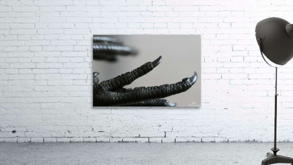Birds foot  Wall Preview