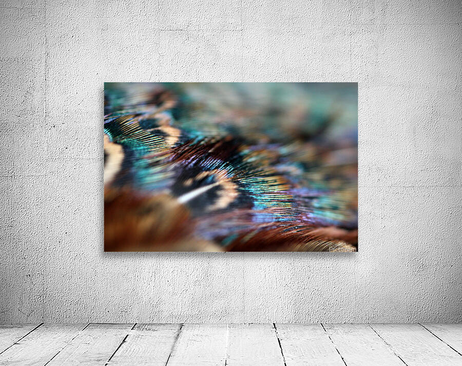 Feathers  Wall Preview