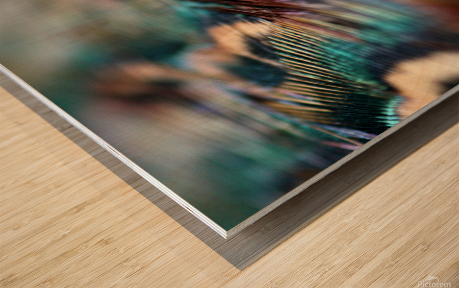 Feathers  Wood print
