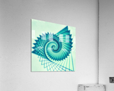 Composition de Nautile Acrylic Print