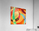 Swoop Acrylic Print