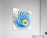 Composition Oraculaire Acrylic Print