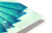 Composition de Nautile HD Metal print