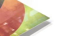 Middle Ground HD Metal print