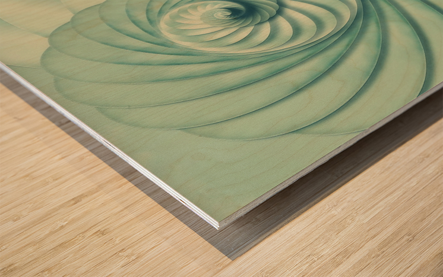 Composition in Celadon Wood print
