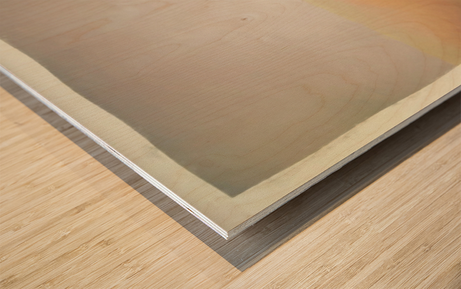 Stratified Wood print