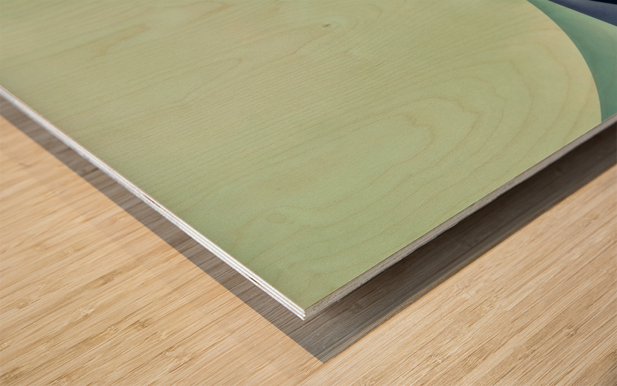 Umbra Wood print