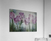  Tulips Acrylic Print