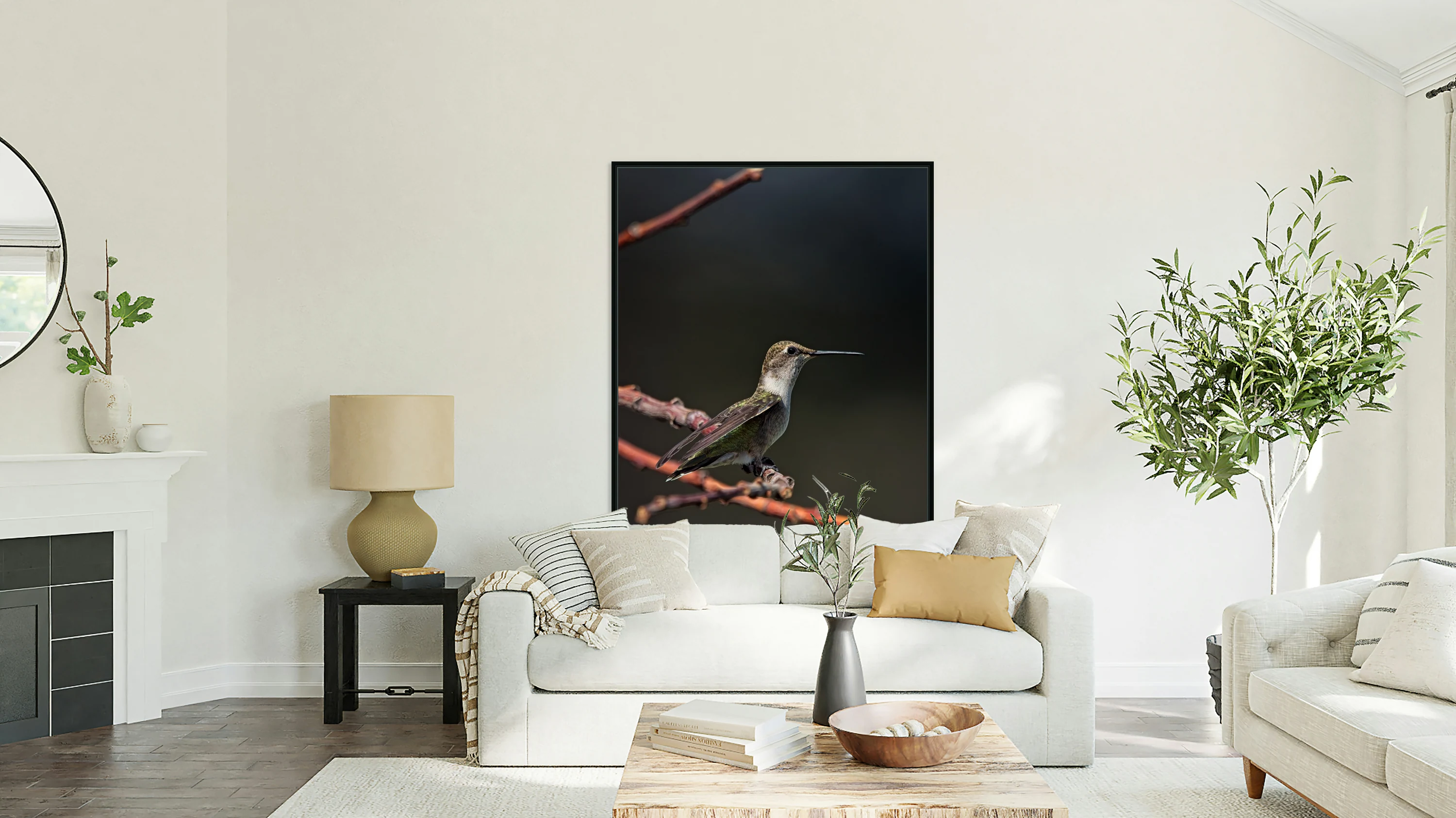 Hummingbird 
