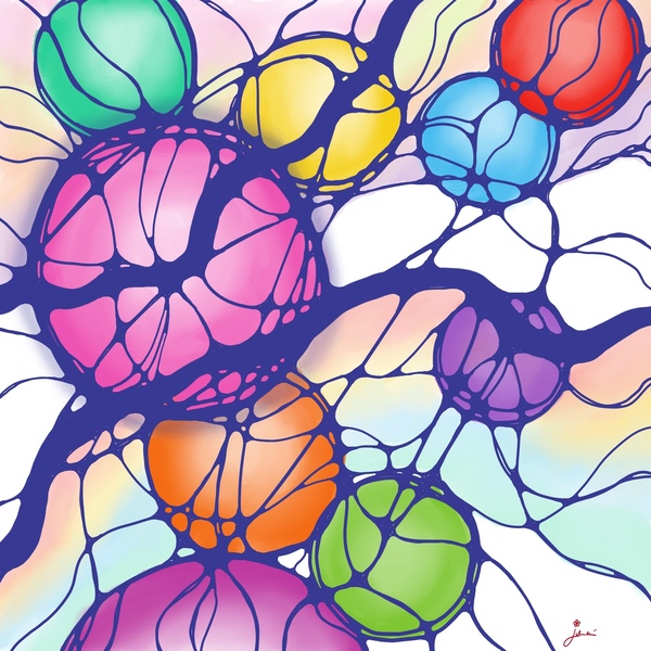 Circus Téléchargement Numérique