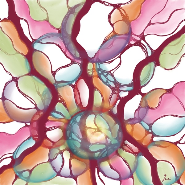 Concerto in Red Téléchargement Numérique