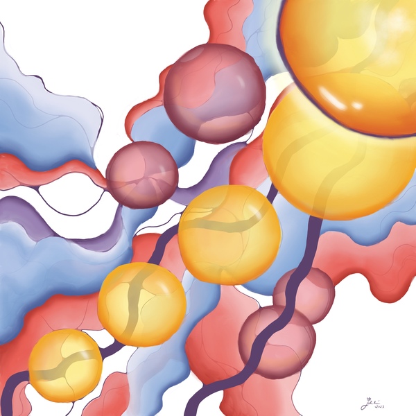 Jellyfish Sunset Digital Download