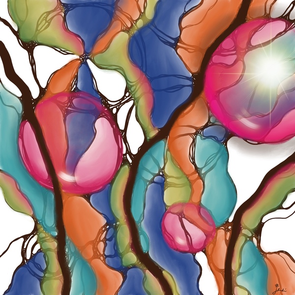 Insight Digital Download