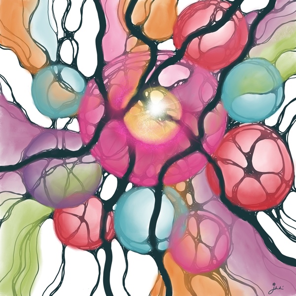 Iris Téléchargement Numérique