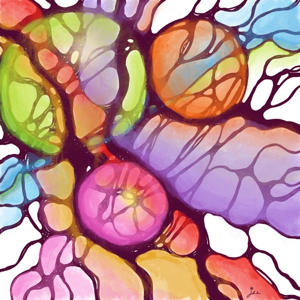 Rejoice Digital Download