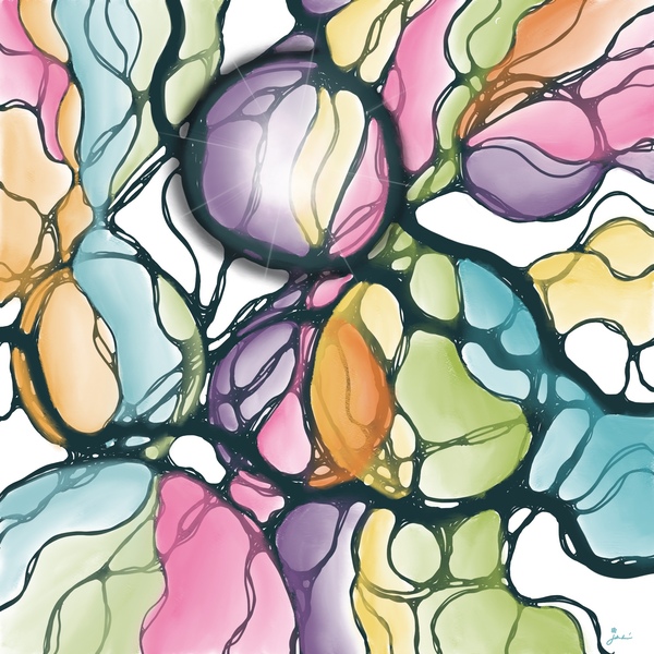 Saltwater Taffy Téléchargement Numérique