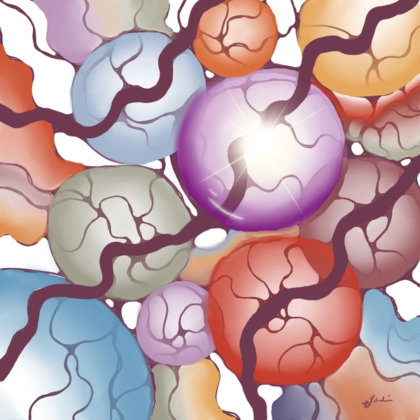 Wonder Digital Download