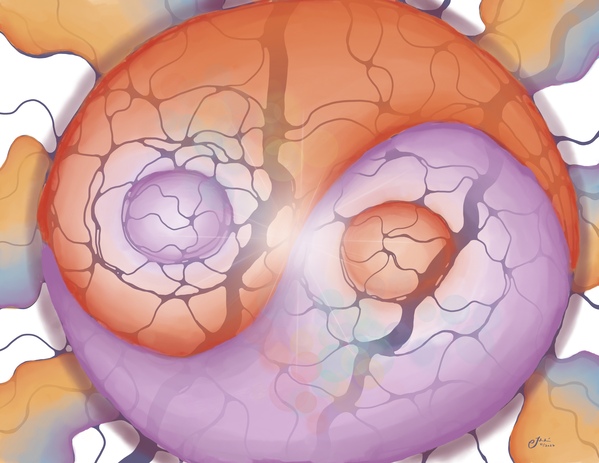 Into the Yin of Things Digital Download