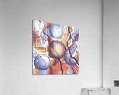 Shift of Consciousness Acrylic Print