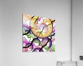 Darth Grape Acrylic Print