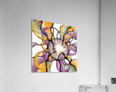 Feelin Groovy Acrylic Print