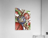 Wintergreen Acrylic Print