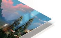 StarVon Park  HD Metal print