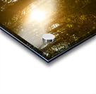 Nature Photography - Golden Path - Towne Park MO Acrylic print