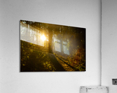 Nature Photography - Golden Path - Towne Park MO Acrylic Print