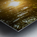 Nature Photography - Golden Path - Towne Park MO Metal print