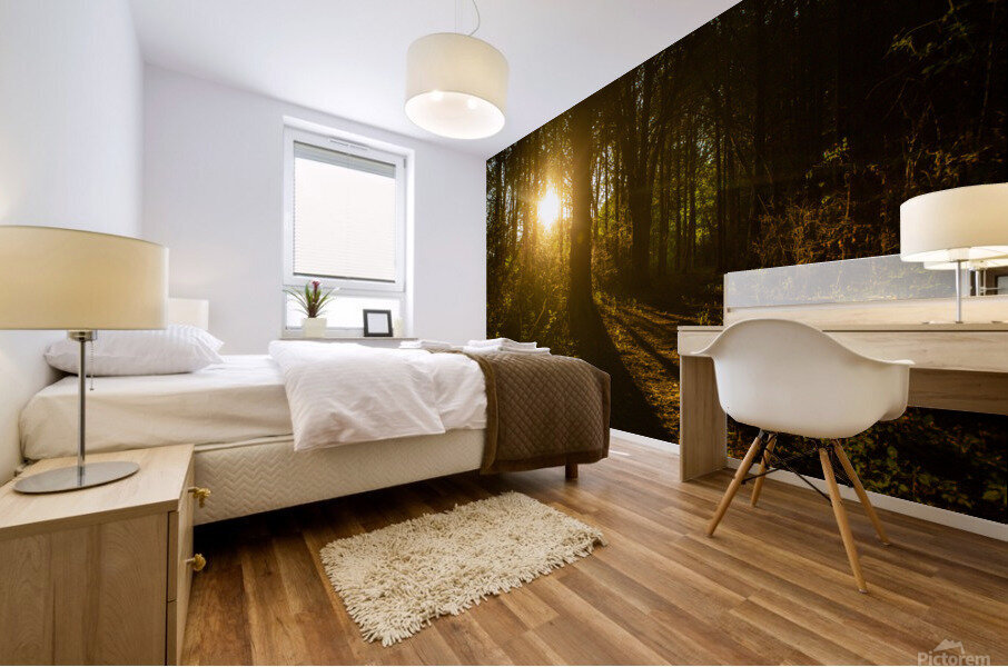 Nature Photography - Golden Path - Towne Park MO Mural print