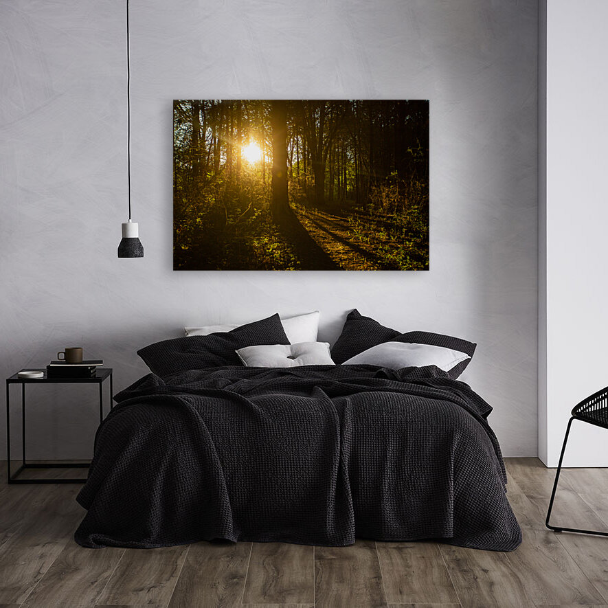 Nature Photography - Golden Path - Towne Park MO Reproduction