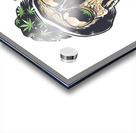 6466F420 A46E 4C24 9452 CF669B96B392 Acrylic print