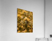 Sfv Acrylic Print
