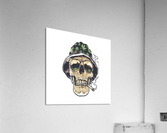 6466F420 A46E 4C24 9452 CF669B96B392 Acrylic Print