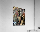 IMG 1086 2 Acrylic Print