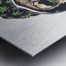 6466F420 A46E 4C24 9452 CF669B96B392 Metal print