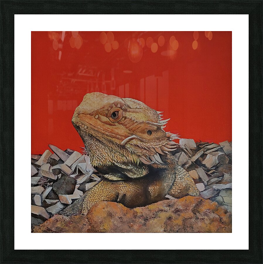  Iguana  Picture Frame print