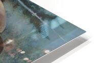  Piranas  HD Metal print