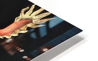  Dragon chino  HD Metal print