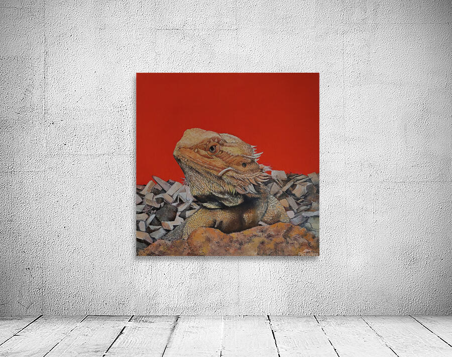  Iguana  Wall Preview
