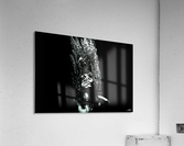 ASTRO FLIGHT Acrylic Print