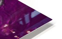 PURPLE HAZE HD Metal print