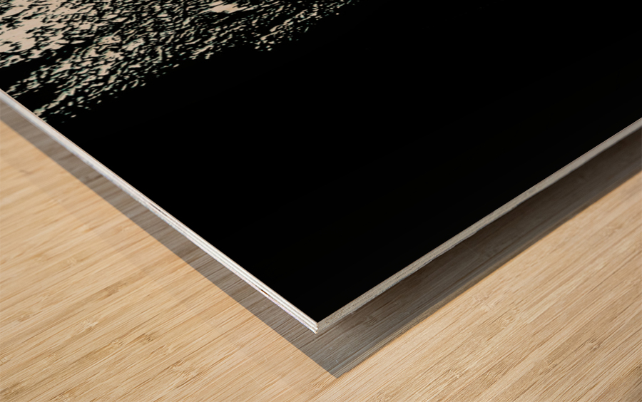 ASTRO FLIGHT Wood print