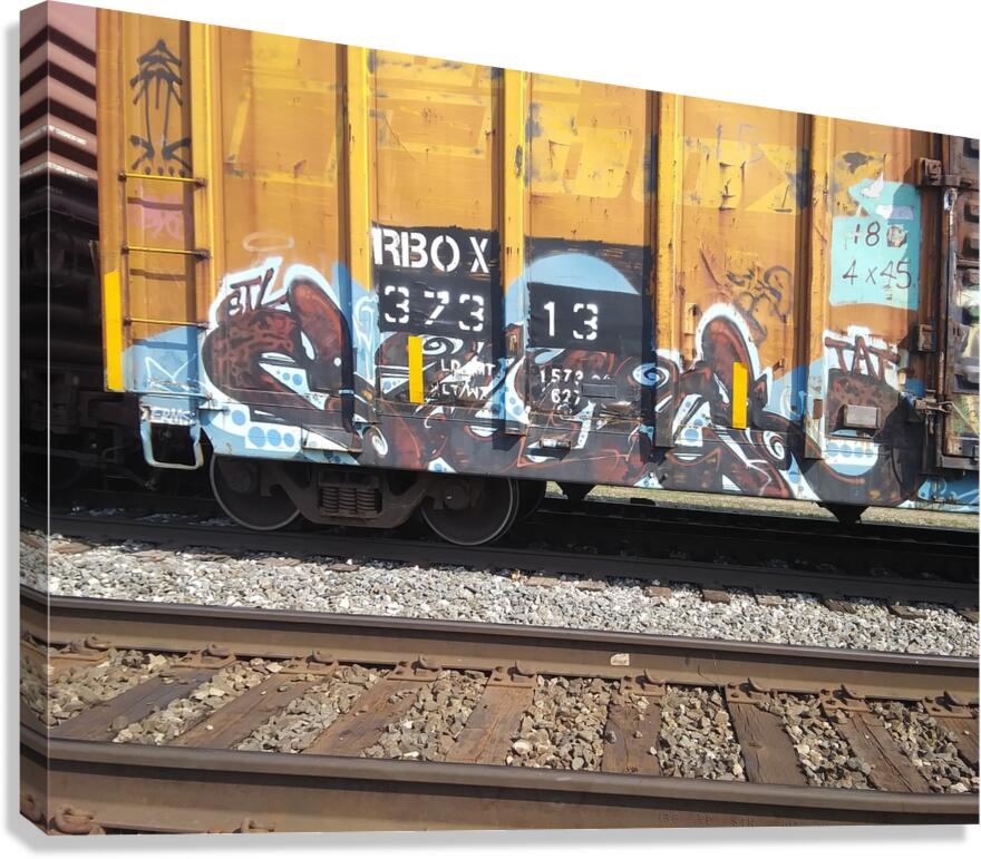 RAIL CART ART Canvas Print